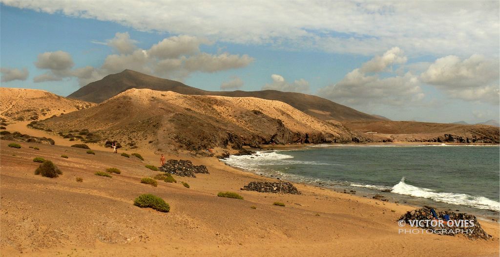 Papagayo
